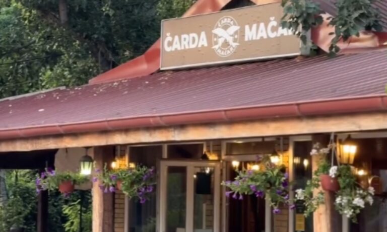 čarda mačak